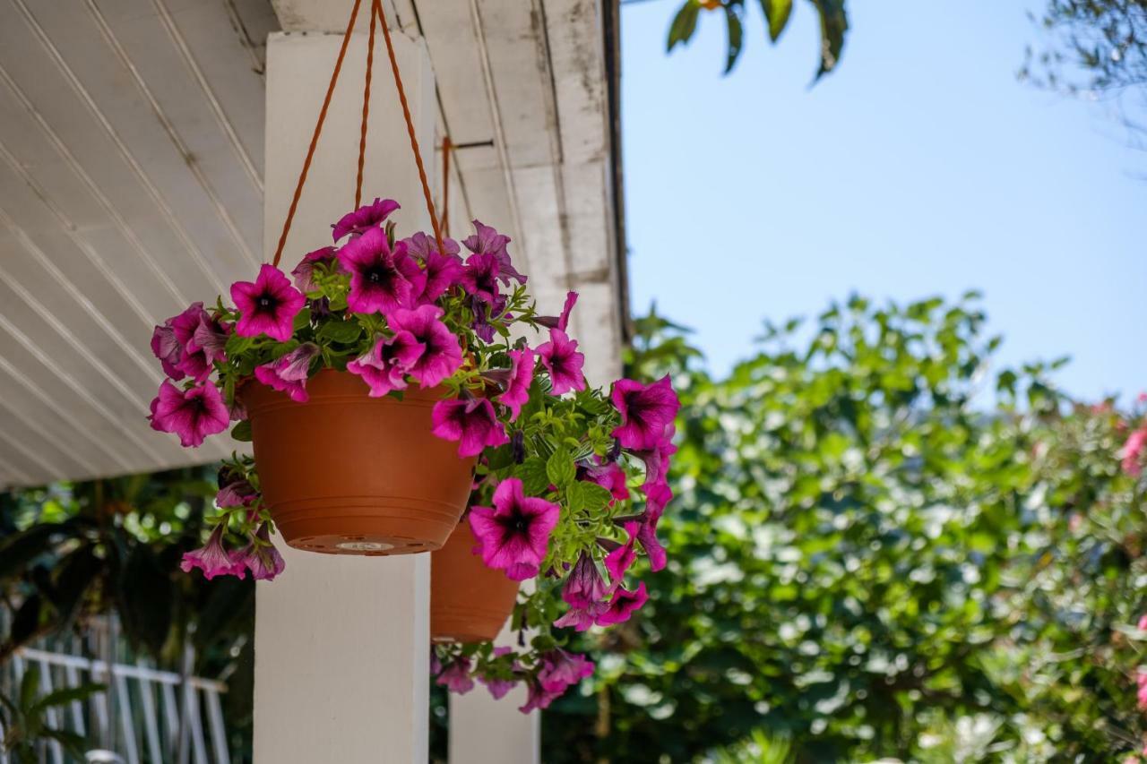 Cuore Di Milka Apartments Veli Lošinj Eksteriør bilde
